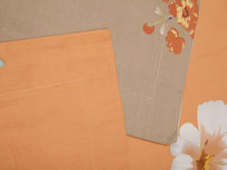 Постельное белье СайлиД B-145 сатин