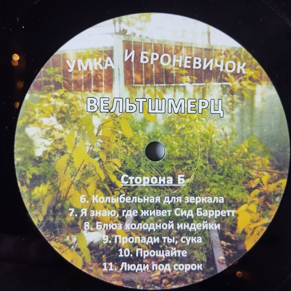 Винтажная виниловая пластинка LP Умка И Броневичок Вельтшмерц (Россия 2024)