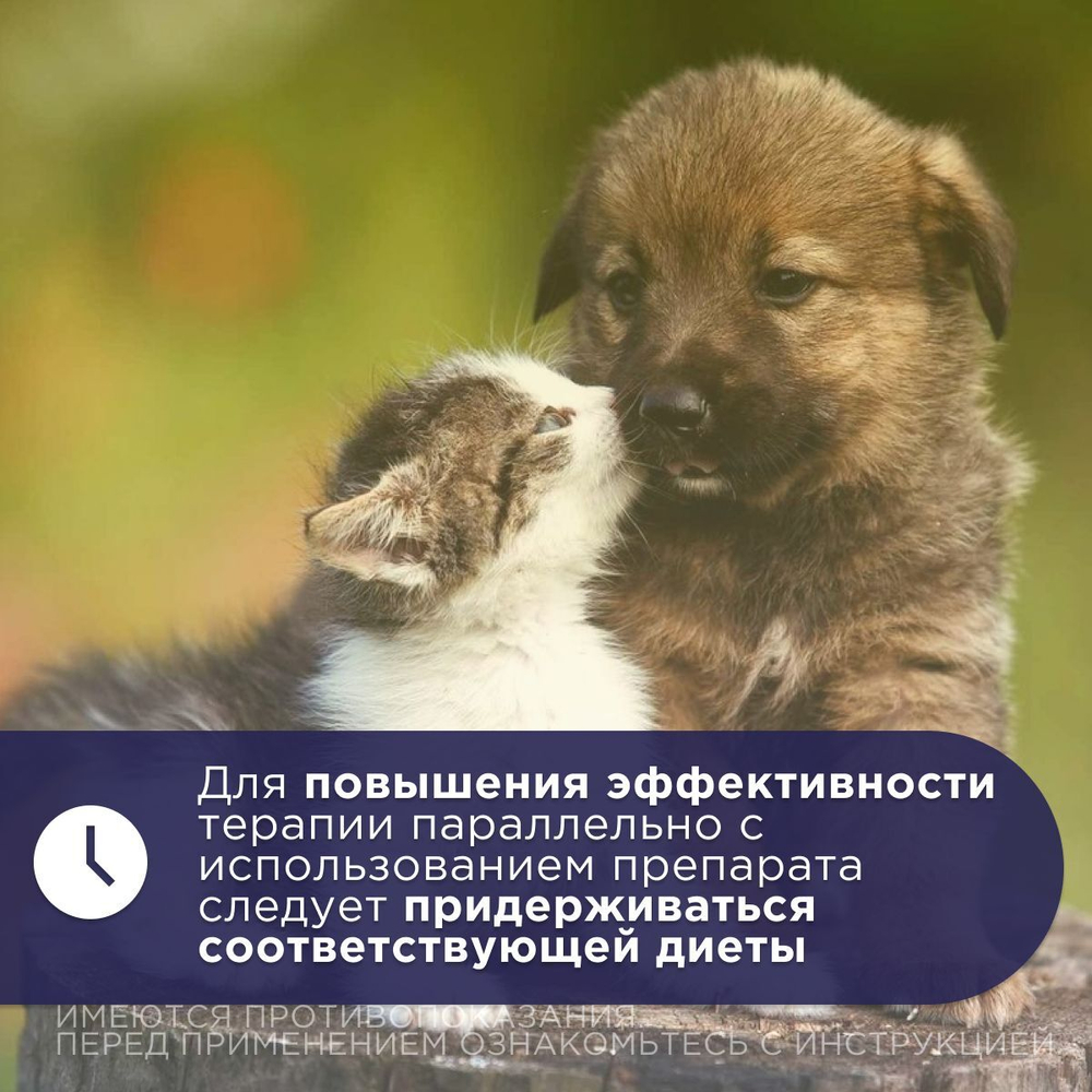 Капсулы от почечной недостаточности у собак и кошек GiGI НефроПЕТ, 30 капсул