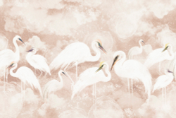 Коллекция Animality