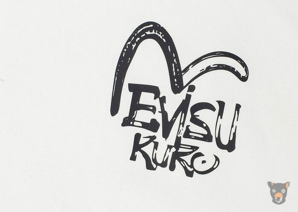 Худи Evisu