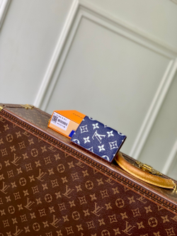 Louis Vuitton Pocket Organizer