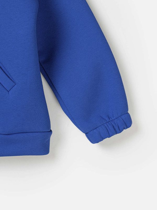 Олимпийка на молнии 