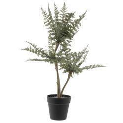 GAEM Цветочная композиция "Папоротник", L20 W20 H66 см