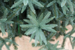 Интерьерная искусственная елка Европейская Премиум 5 м., ствольная, Литая хвоя+ПВХ, Green Trees (GT5,5EVR)