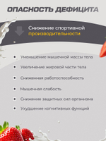 Комбо набор Протеин сывороточный клубничный 1020 гр 34 порций + Креатин моногидрат без вкуса 200 гр 40 порций + Цинк цитрат 90 капсул