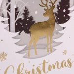 Пакет подарочный «Волшебная зима» 26*32*10 см, микс