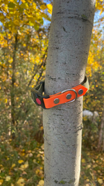 Ошейник из мягкого биотан, 20 мм (25-40 см.) Хаки и оранжевый. Срез ромб.