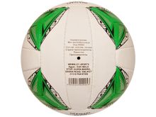 Волейбольный мяч #00905