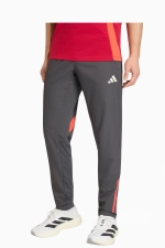 Штаны adidas Liverpool FC 25/26 Competition Training - серый