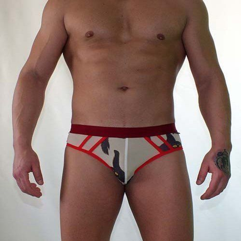 Мужские трусы брифы бежевые с принтом Van Baam