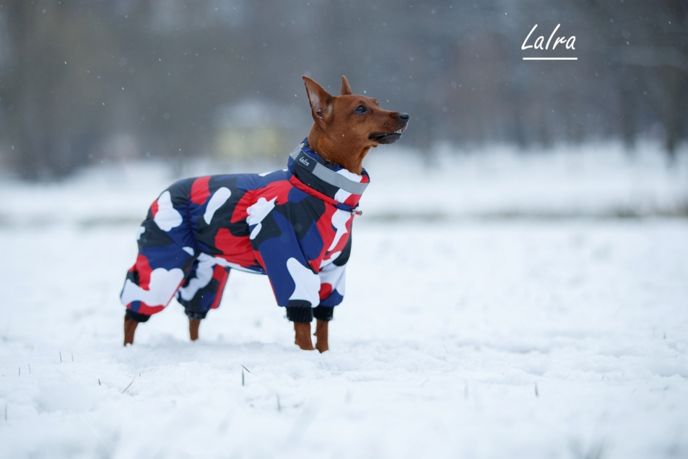 Комбинезон зима НЮША для девочки