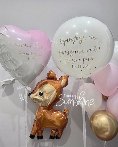 Набор шаров на выписку №65