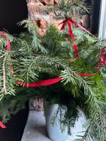 Ветка хвои - ПИХТА