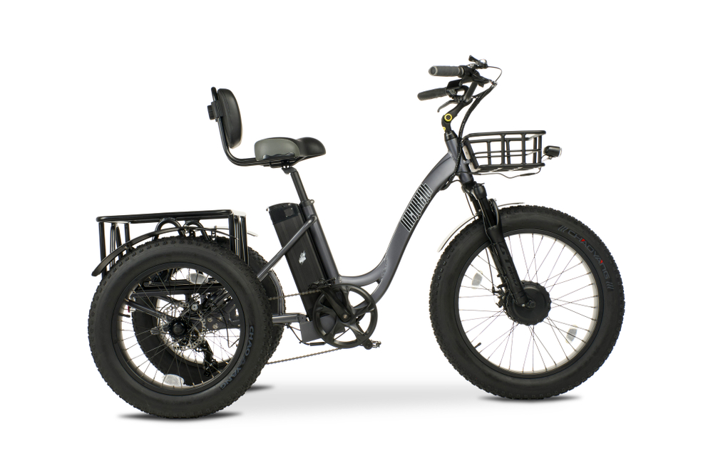 Трицикл Медведь Cargo Plus 500