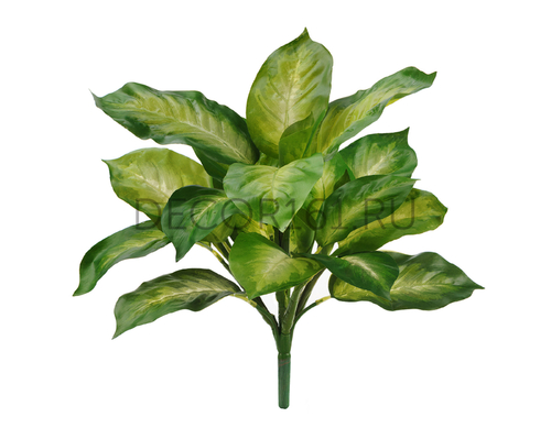 Диффенбахия золотая куст в-40 см (Sensitive Botanic) 12/120 20.1440NY