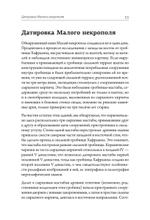 Забытые гробницы. Тайны древнеегипетского некрополя