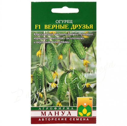 Огурец Верные друзья F1 , семена