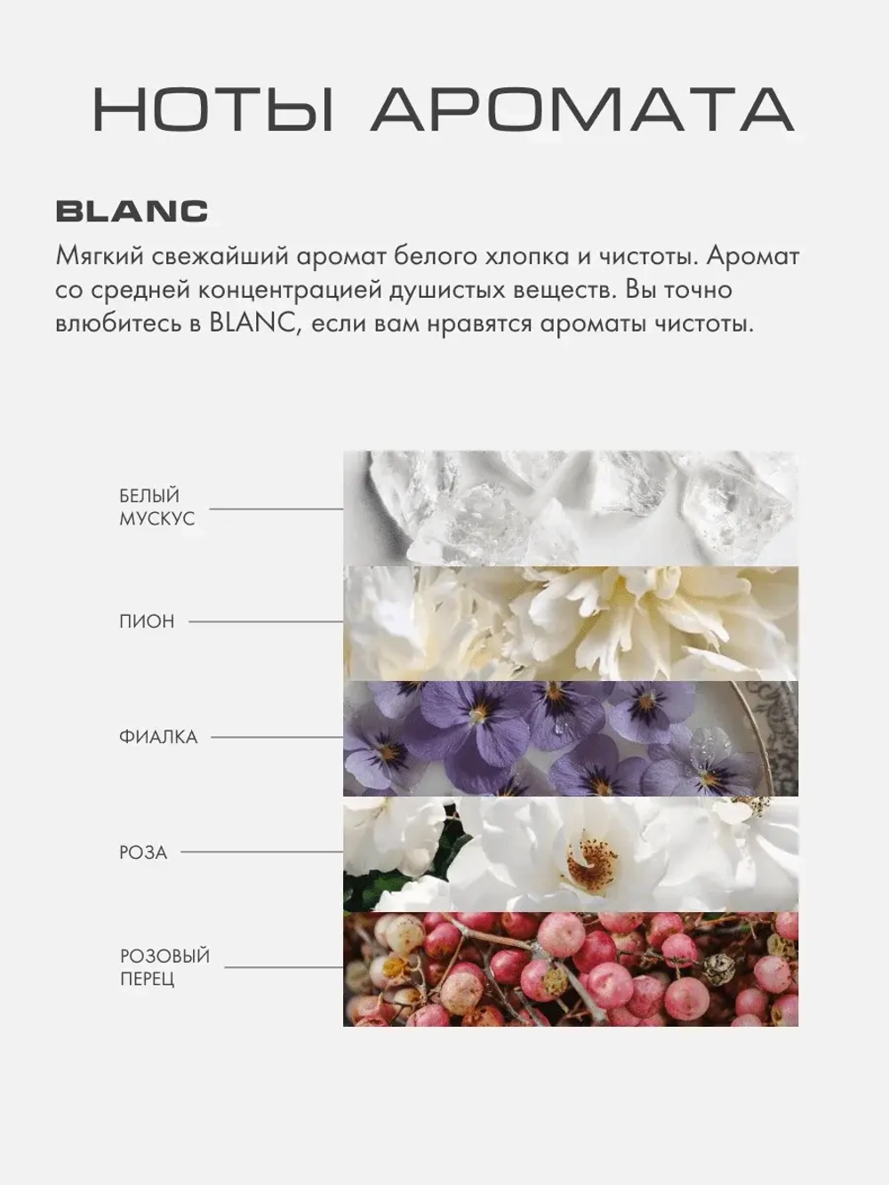 Диффузор Бланк (Blanc) S