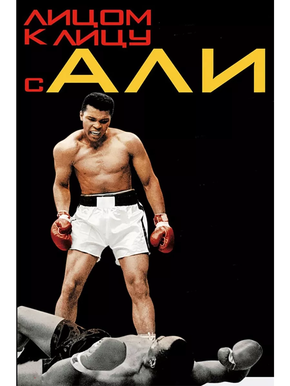 Лицом к лицу с Али (2009) (DVD-R)