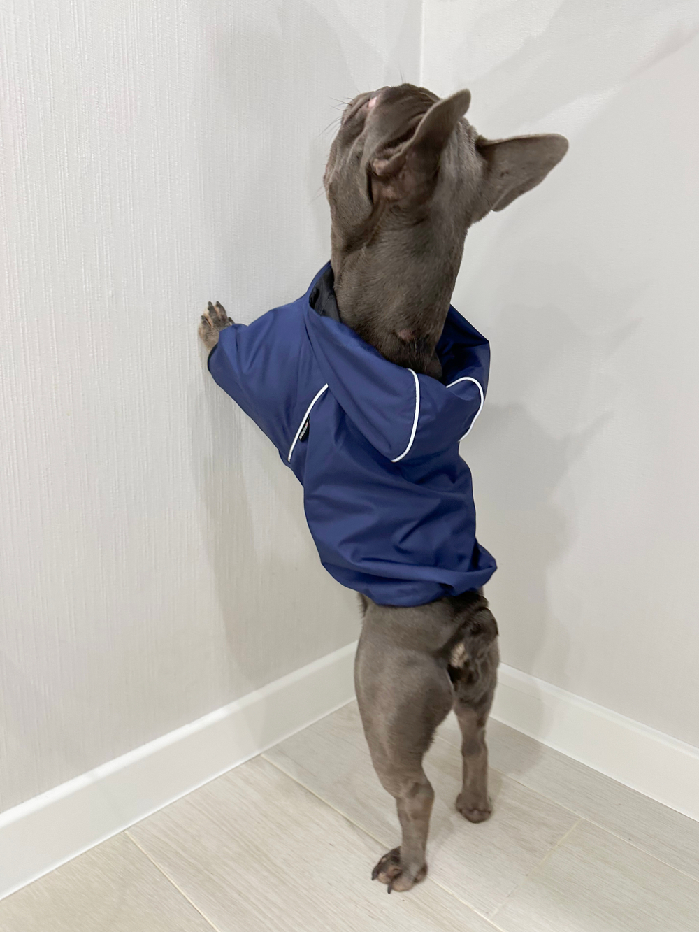 Универсальная куртка дождевик для собак Монморанси, цвет олива, размер L