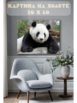 Картина на стену 40 X 50 Панда