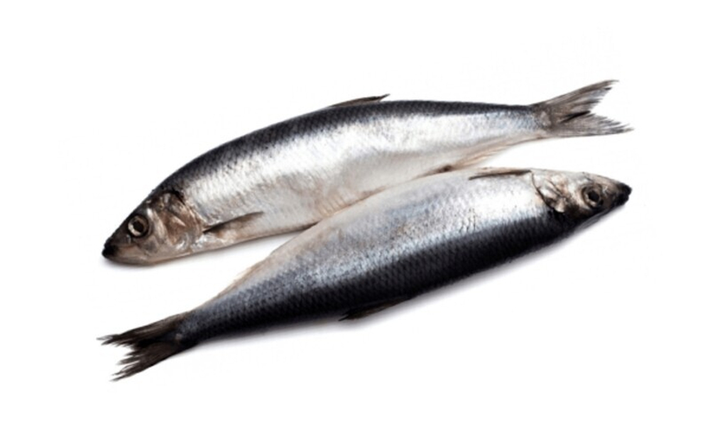 Сельдь неразделанная 400+ Мурманск