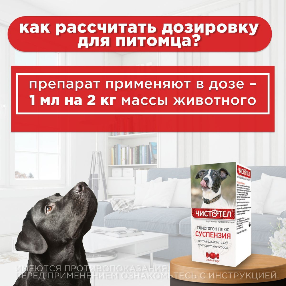 Суспензия от гельминтов для собак, сладкий вкус Чистотел Глистогон Плюс, 7мл. Пирантел/Празиквантел