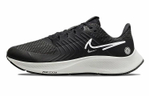 Кроссовки Nike Pegasus 38 (Женская размерная сетка)
