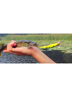 Воблер Минноу MACHNO 90mm, цвет 018 (карась), 2 штуки