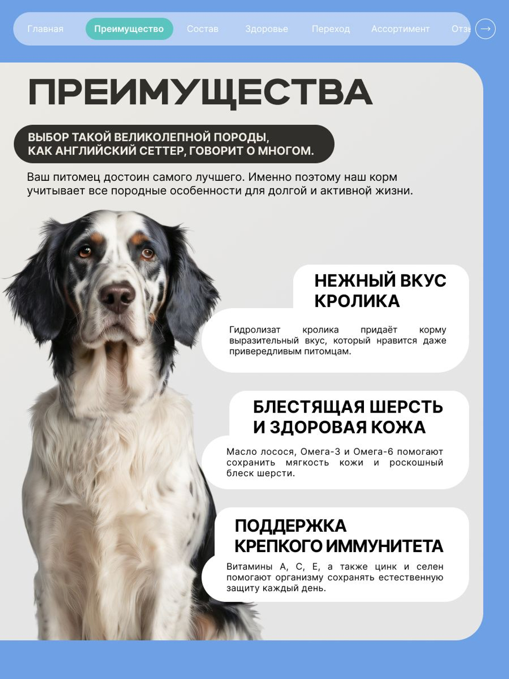 Корм для взрослых собак породы Английский сеттер, с кроликом, 3 кг, QUATTRO