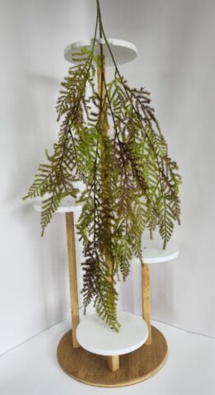 Аспарагус / Арт 4427