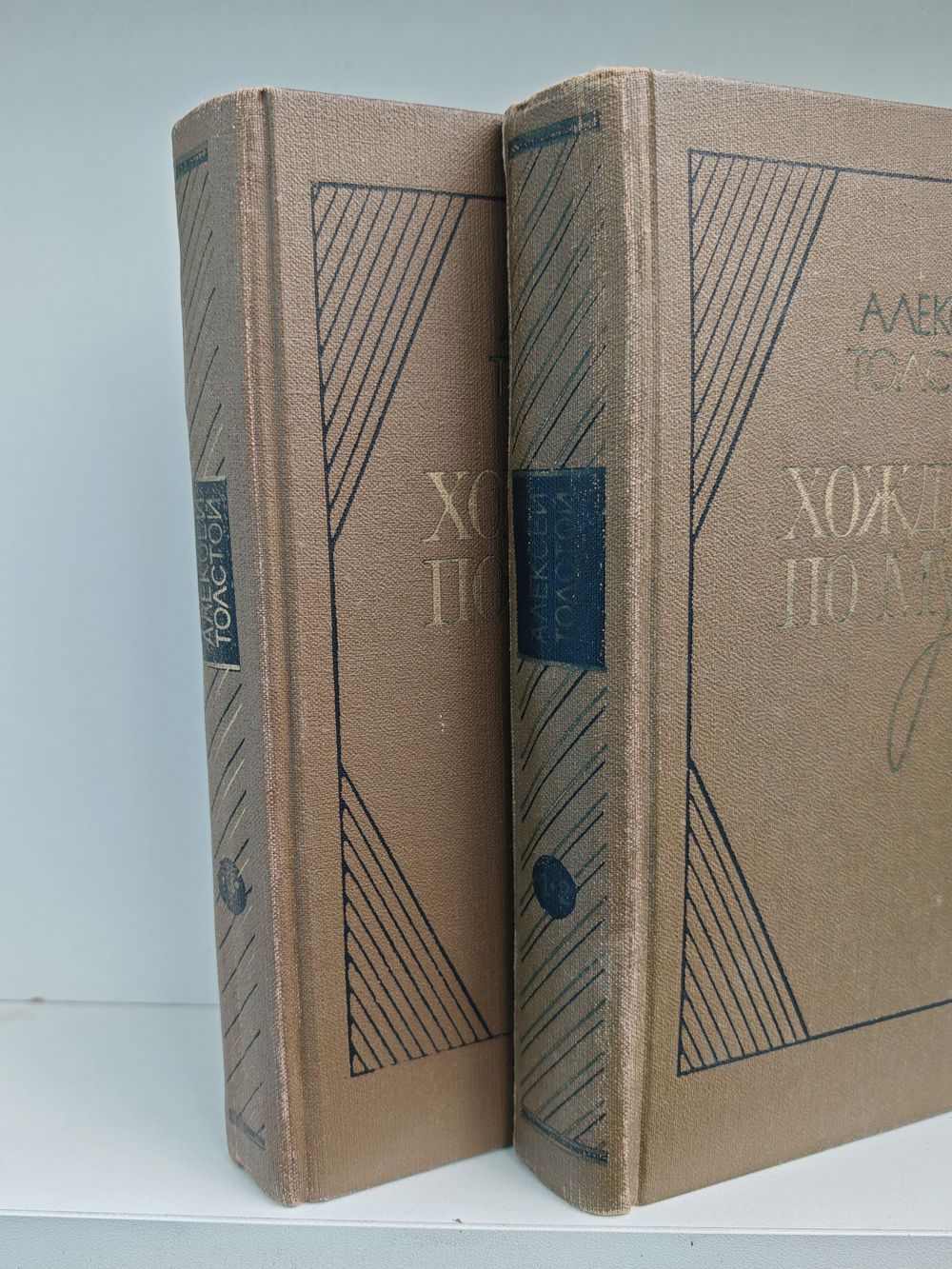 Хождение по мукам. Трилогия в 2 томах (комплект из 2 книг)