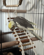 Веревочная лесенка для попугаев 25см