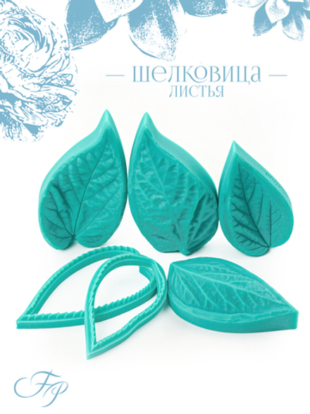 Шелковица листья