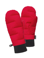 ВАРЕЖКИ ПУХОВЫЕ BASK D-TUBE CHESSMITTS