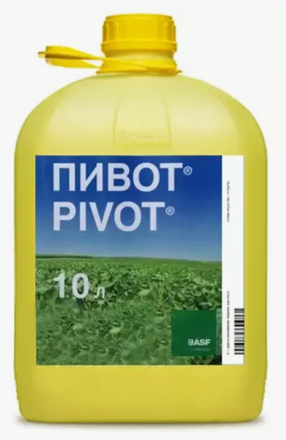 Пивот, ВК (100г/л)