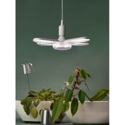 Фитолампа для растений светодиодная ЭРА GREEN LINE ФИТО-65W-PFR-E27-GR 5-ти лепестковая полного спектра 65 Вт Е27 | Фитолампы Е27