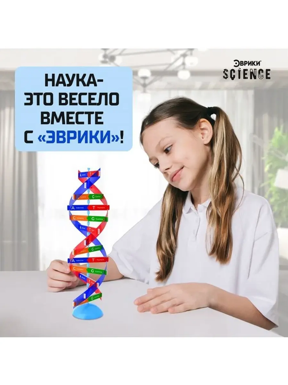 Набор для опытов «Молекула ДНК»