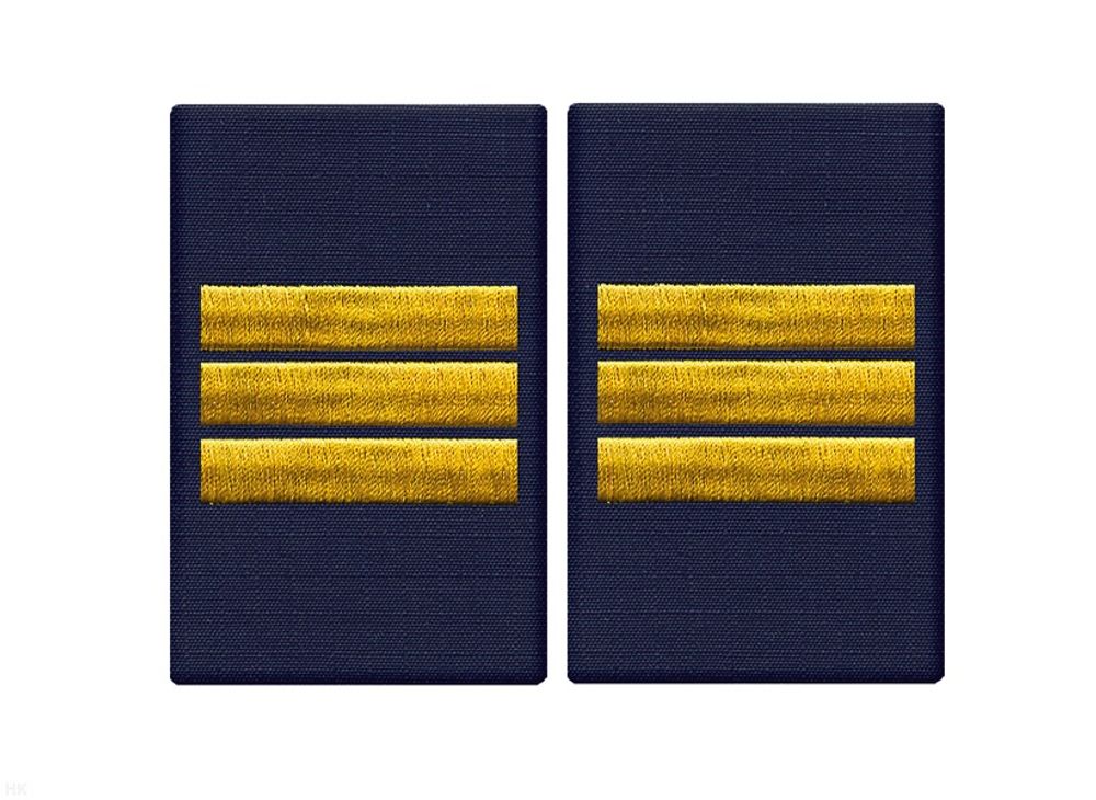 Фальшпогоны Полиция темно-синие с вышитыми лычками сержант