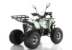 AVANTIS C200 2020г (А) Lux (Осенний камуфляж)