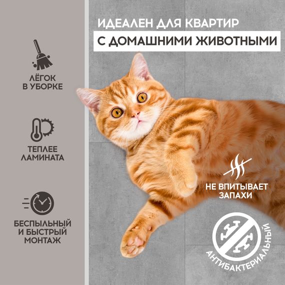 SPC ламинат I-Floors Glue - Антрацит светлый
