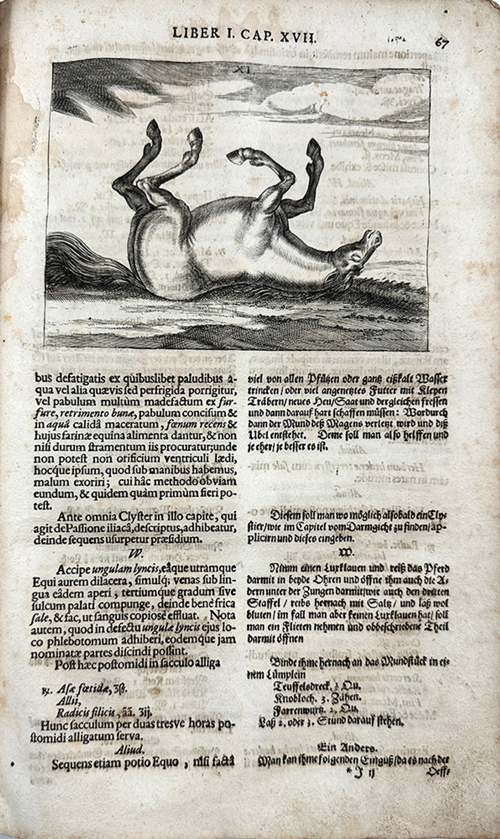Винтер Г. С. Гиппиатр. Эксперт по лошадям, или полное собрание по медицине. 1678