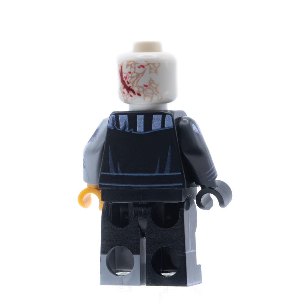 Темный Лорд после битвы