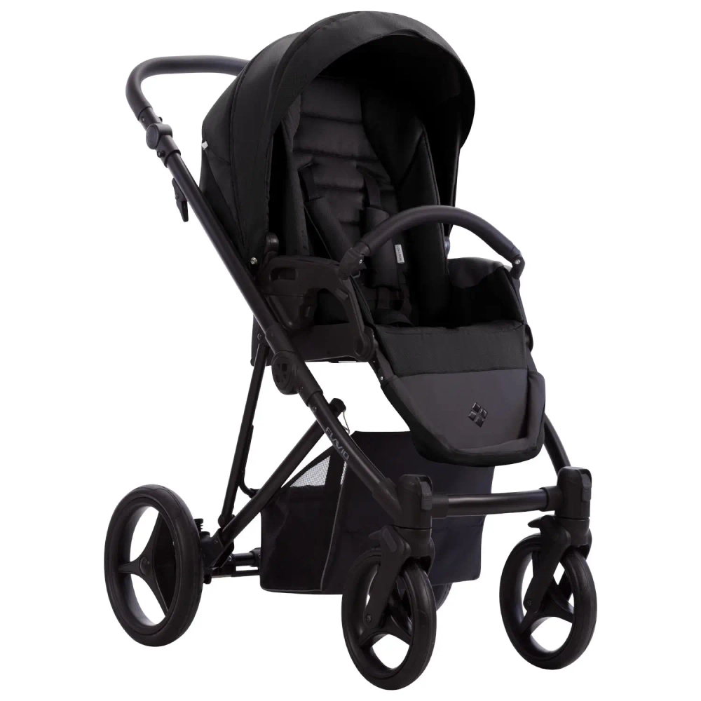 Коляска 2 в 1 Bebetto FLAVIO 10 (черный)