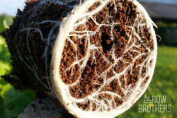 Микориза Great White Premium Mycorrhizae