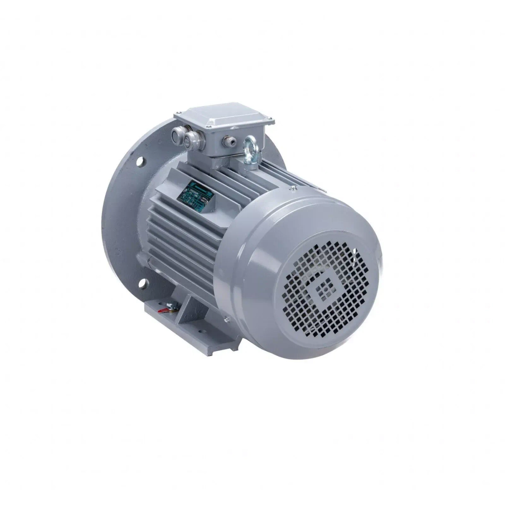 Электродвигатель ESQ PR 200 M6 GST-Б1-S12-IE2 22/1000 IM2001