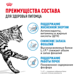 Royal Canin Indoor 7+ Индор Корм сухой сбалансированный для стареющих кошек в возрасте от 7 до 12 лет живущих в помещении 400г