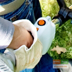 Мотокоса Stihl FS 38 AutoCut C6-2 4140-012-2315, двухтактный двигатель, оранжевая