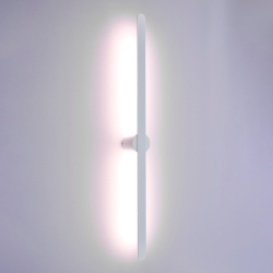 Светильник настенный ST Luce ST607.542.12